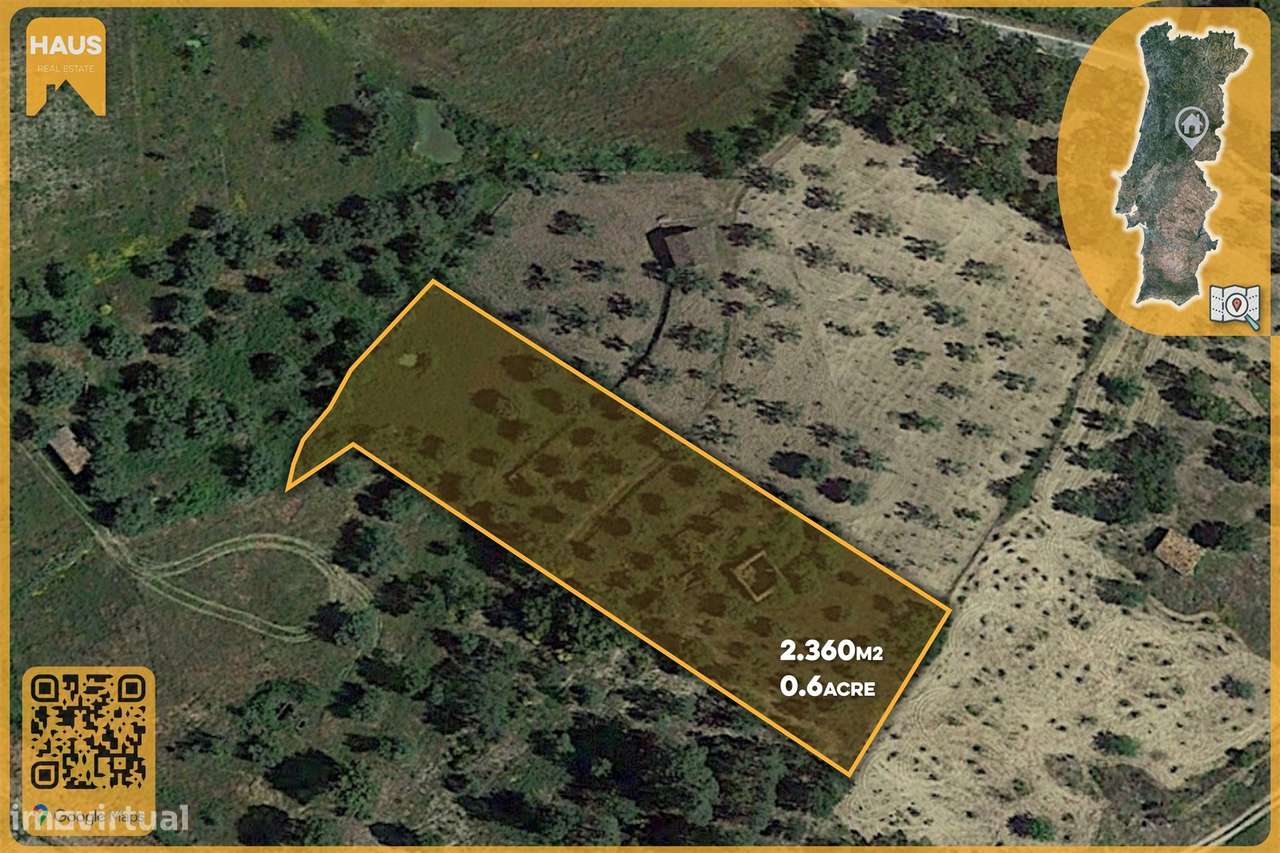 Terreno Rústico de 2.400 m² – 30m2 Ruína, Poço em Pedra, Olival - Grande imagem: 2/40