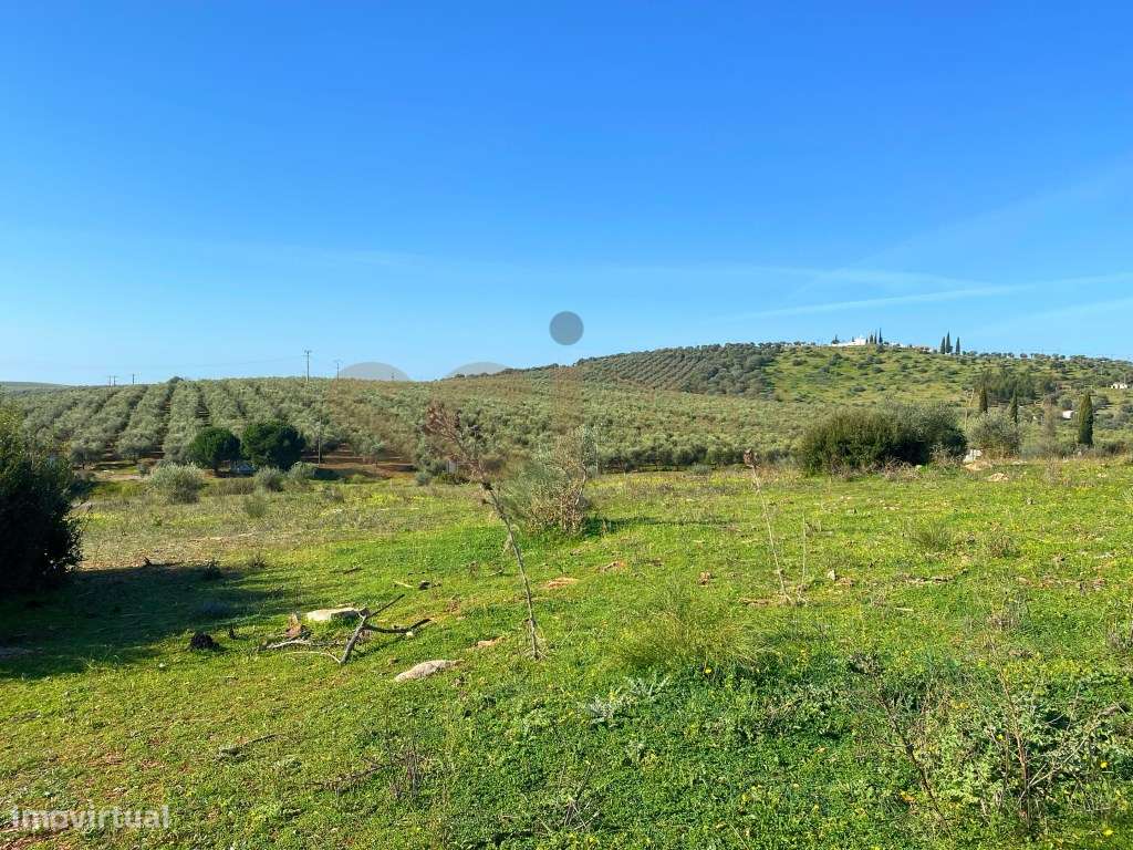 Terreno perto de Serpa, c/ possibilidade de construção de Hotel Rur... - Grande imagem: 5/17