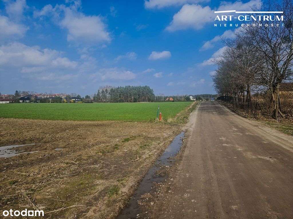 3 działki w Osielsku - Pełny obrazek: 4/6