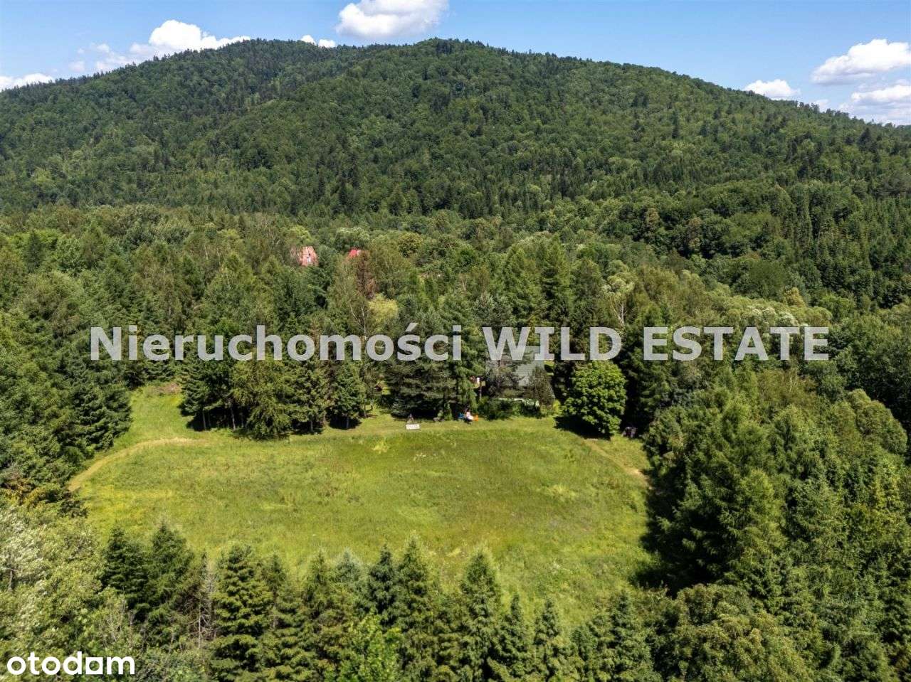 Wyjątkowe miejsce w Bieszczadach - Pełny obrazek: 5/20