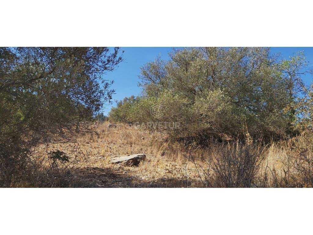 Terreno rústico, em zona agrícola, Matos de Cima, Paderne, Albufeir... - Grande imagem: 3/20