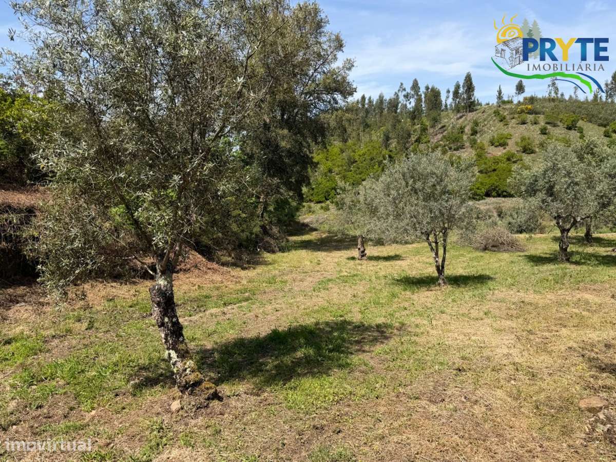 Terreno com uma ruína não registada a 6 quilómetros da Sertã-25