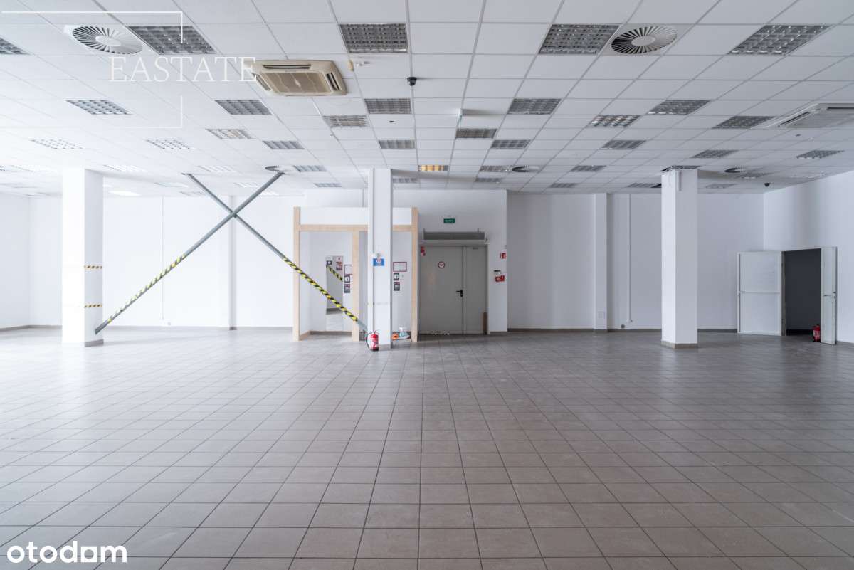 Atrakcyjny Lokal do Wynajęcia w Gdyni 278 m² MPark - Pełny obrazek: 5/16