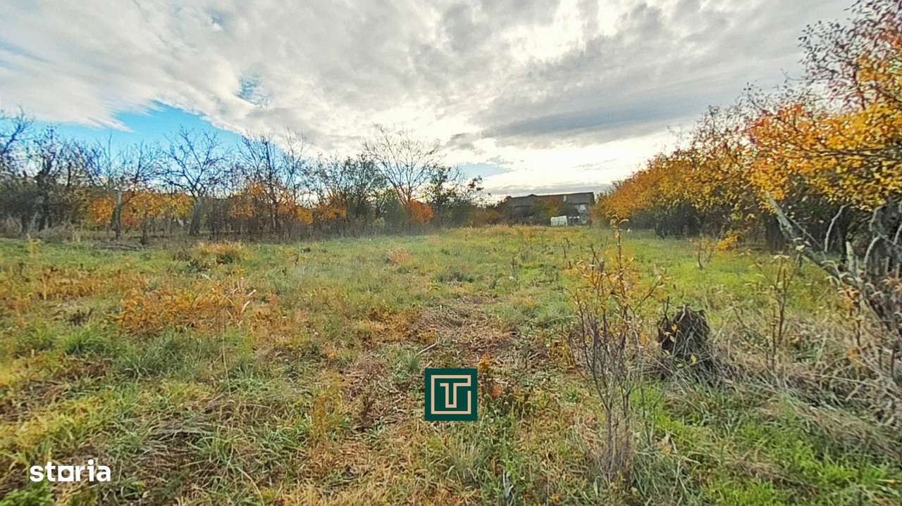 Teren intravilan 1199 mp de vânzare în Aluniș, județul Arad - Imagine principală: 4/6