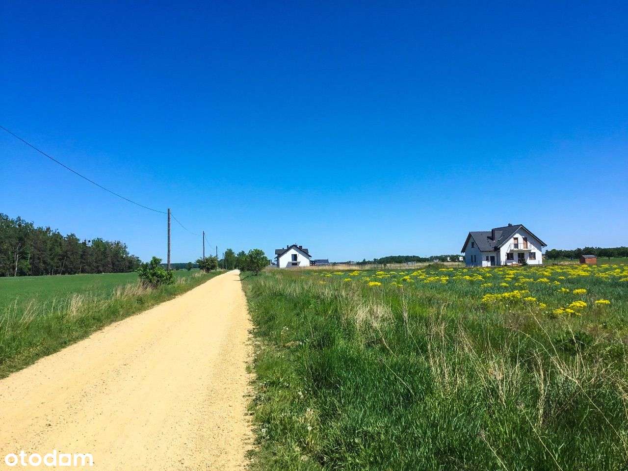 SPOKOJNA okolica działki od 874m2 ! Blisko LASU - Pełny obrazek: 2/5
