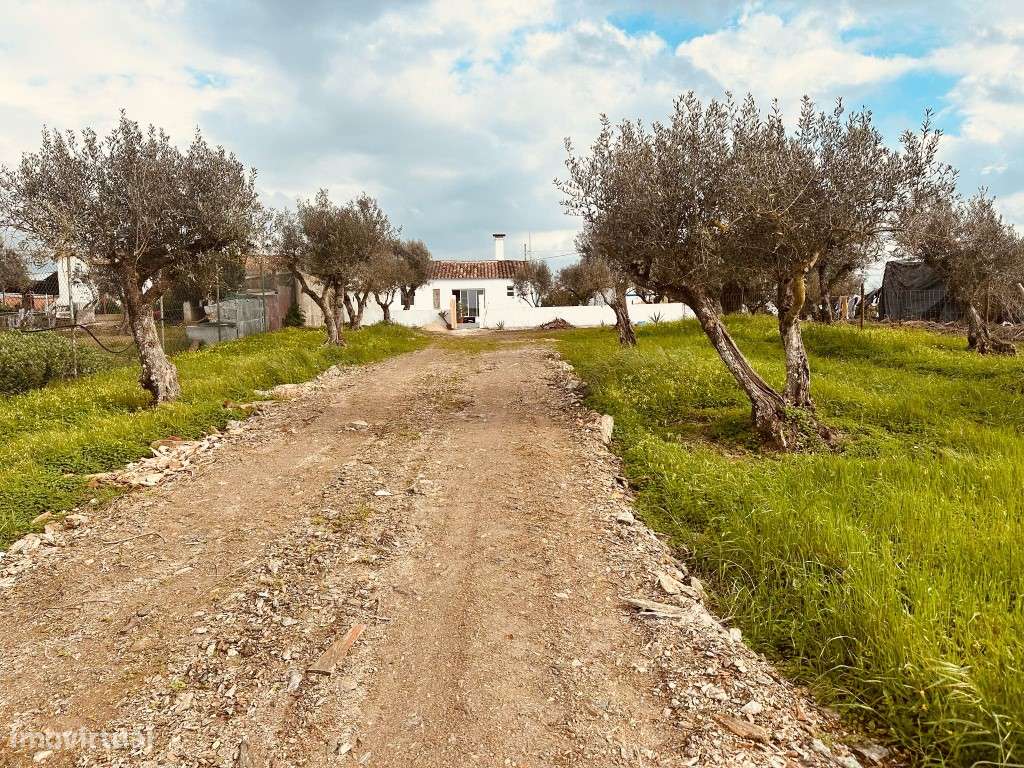 Moradia T2, inserida em lote com 1125 m2 com piscina, em Santiago M...-32