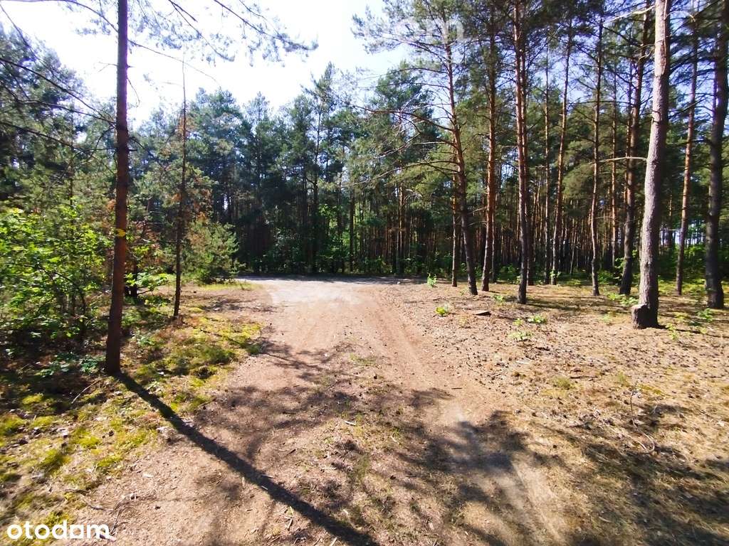 Ostatnia działka rekreacyjna w Białej Górze - Pełny obrazek: 2/3