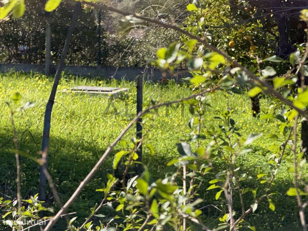 Oportunidade em Salir: Casa com Terreno Amplo e Anexo-12