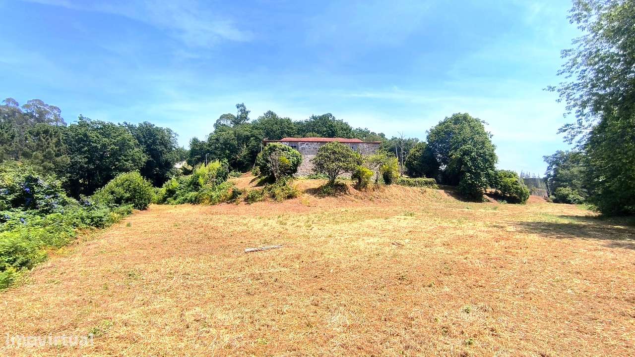 Quinta com 19000 m2 nas margens do Douro-3