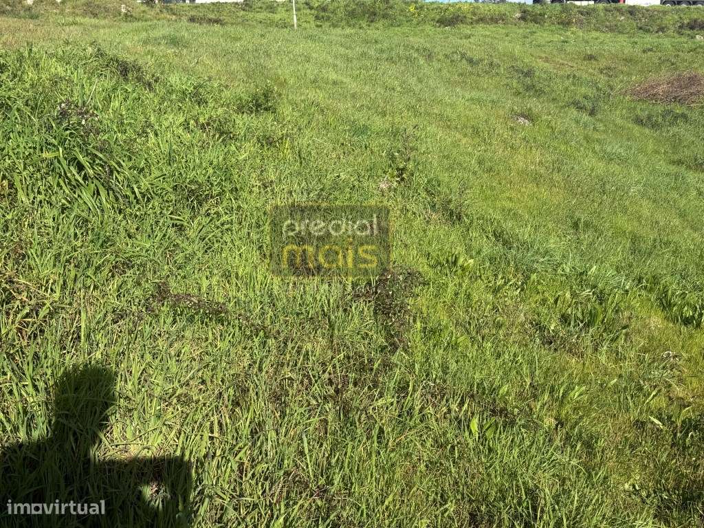 TERRENO CAVALÕES - Grande imagem: 3/4