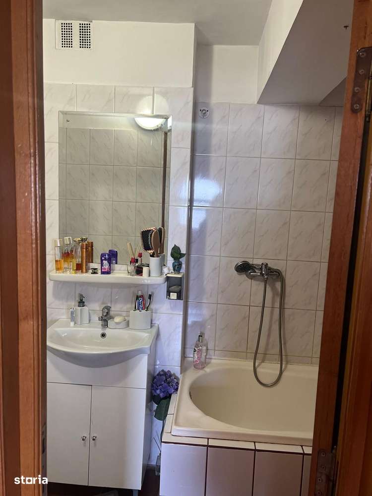 Proprietate deosebită în locație premium Parcul Carol-10