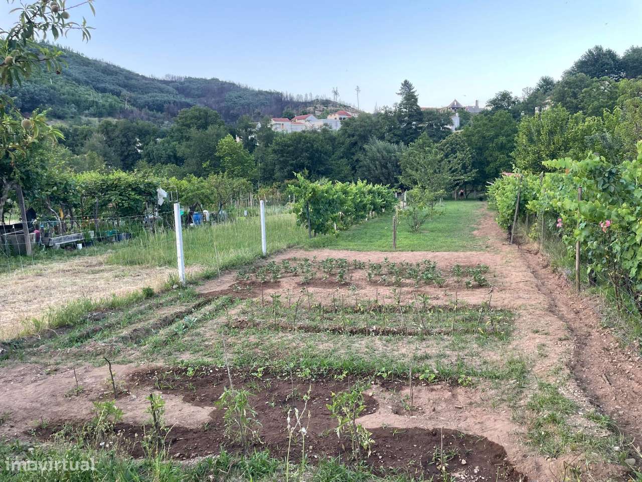 Refúgio de Verão junto ao Rio Alva-8