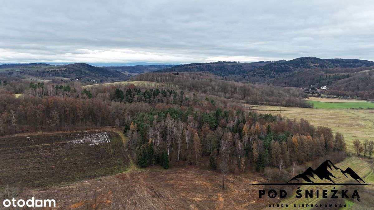 Działka w Modrzewiu- wybuduj się lub zainwestuj!-2