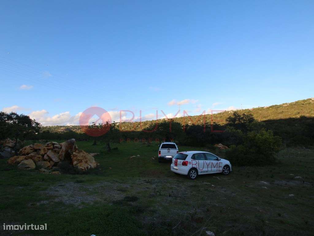 Terreno Rústico com Oliveiras em S. Brás de Alportel - Grande imagem: 2/2