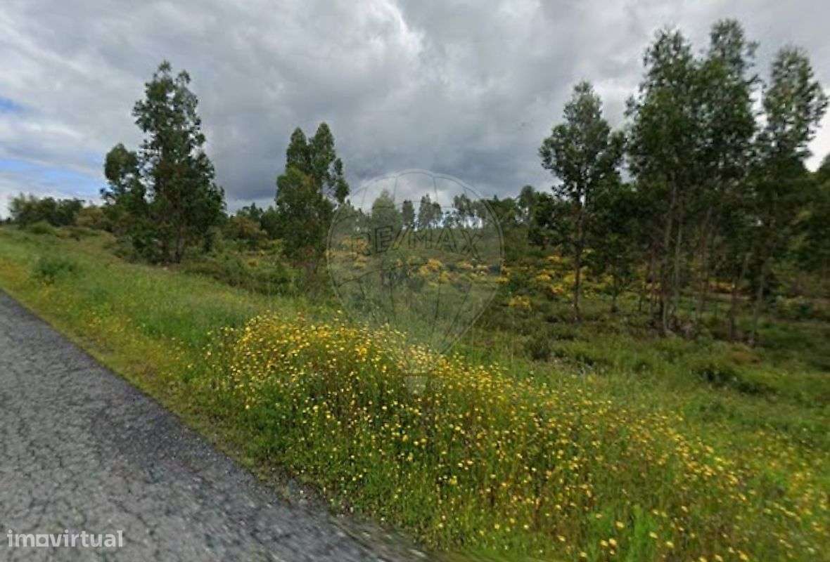 Terreno  para venda - Grande imagem: 4/4