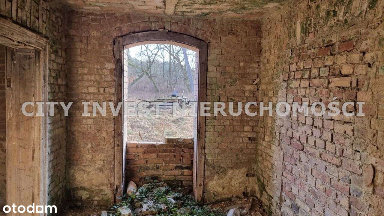 Dom, 800 m², Koziczyn - Pełny obrazek: 4/6