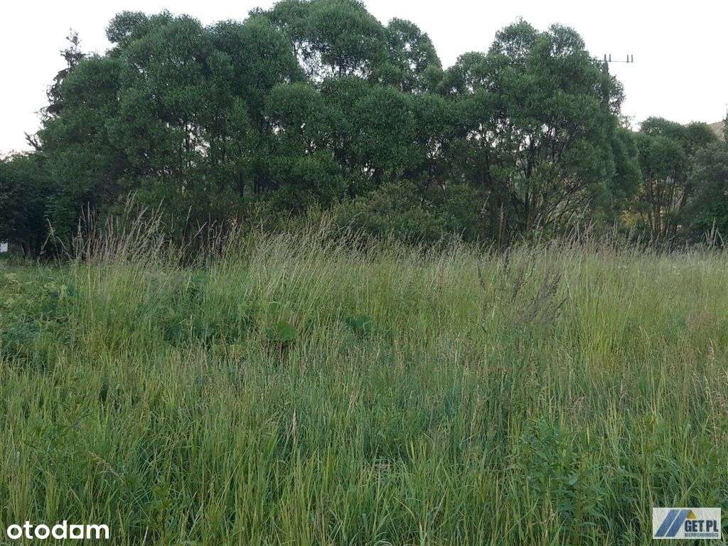 Cisza pośród gór i lasów - Pełny obrazek: 4/4