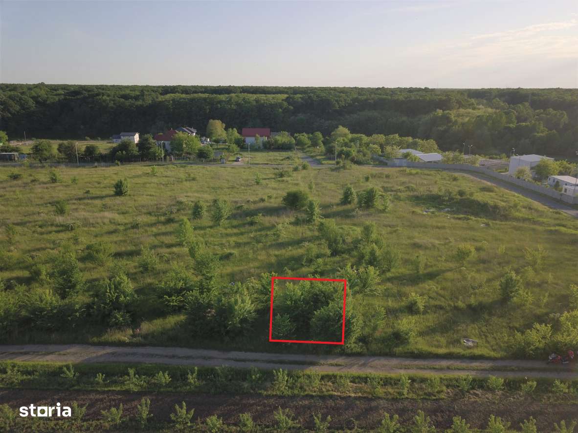 Branesti, 500mp, str. Violetelor, Lacul Pasarea, Padurea Cucu-4