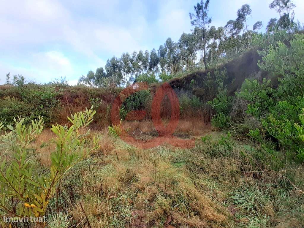 Terreno - Outeiro, Viana do Castelo - Grande imagem: 5/14