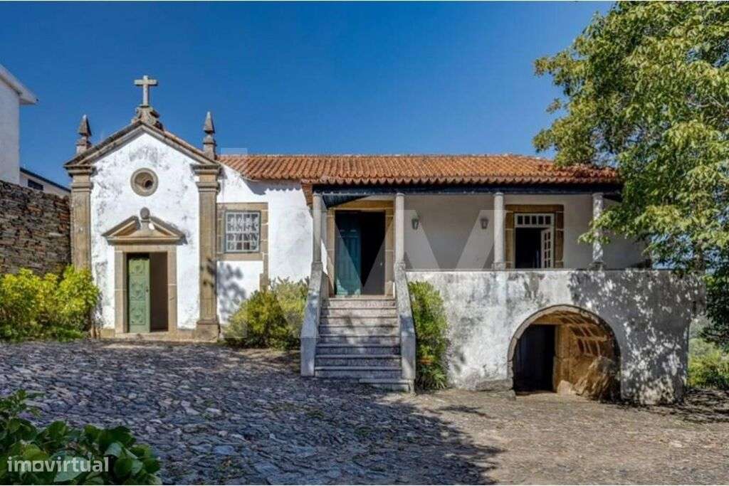 Excelente Quinta no Douro, casa com pedra de armas, fim do século XVII - Grande imagem: 5/54