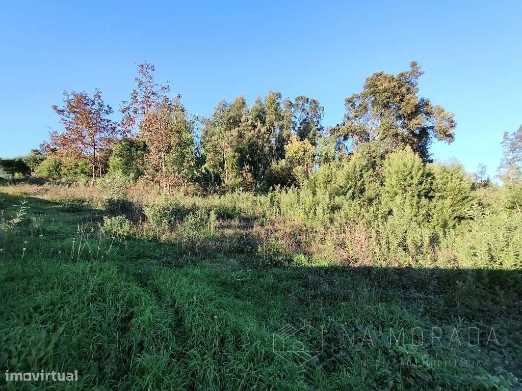 Terreno com 1410m2 para construção em Argoncilhe - Grande imagem: 5/14