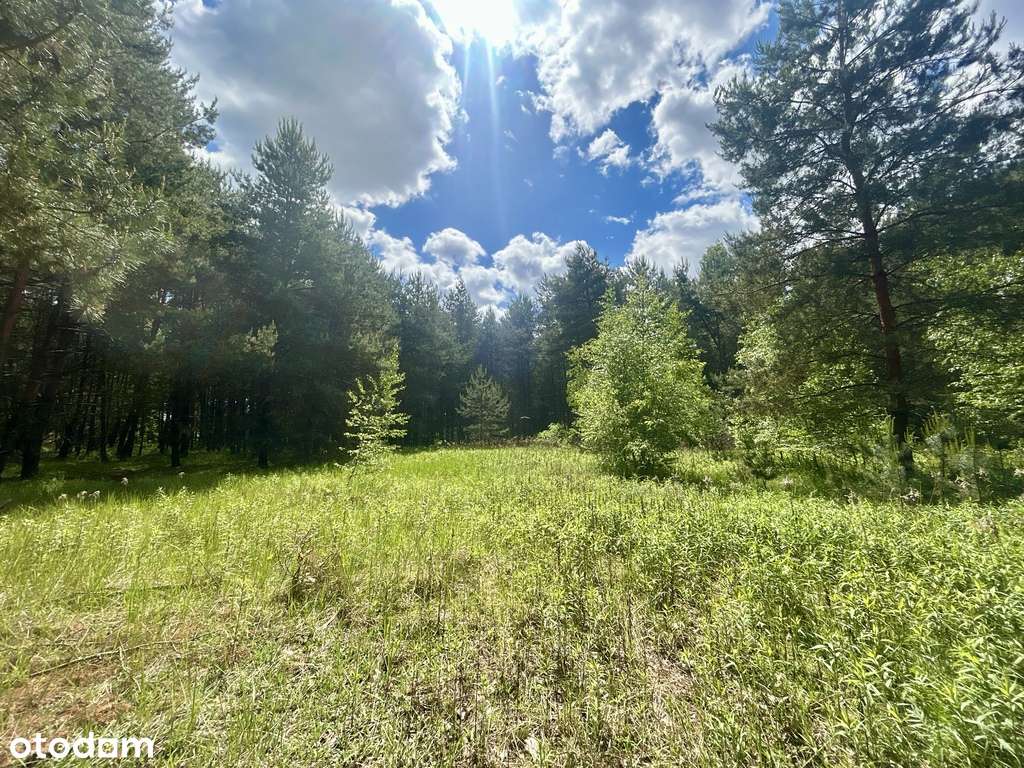 Zamieszkaj w rytmie natury – działka marzeń-1