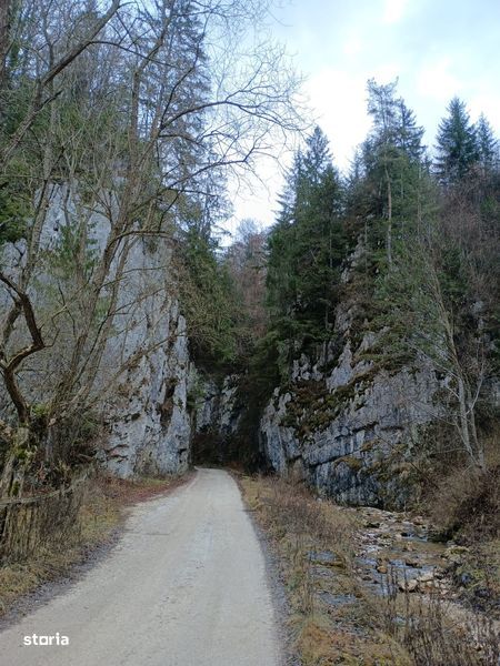 Teren la munte Sirnea-Ciocanu-Pestera