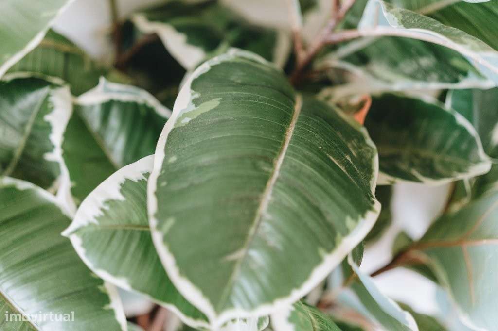 Apartamento T3 Novo com 2 casas de banho em Montijo-17