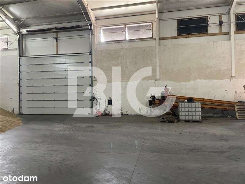 Nowoczesna hala magazynowa - Pełny obrazek: 4/5