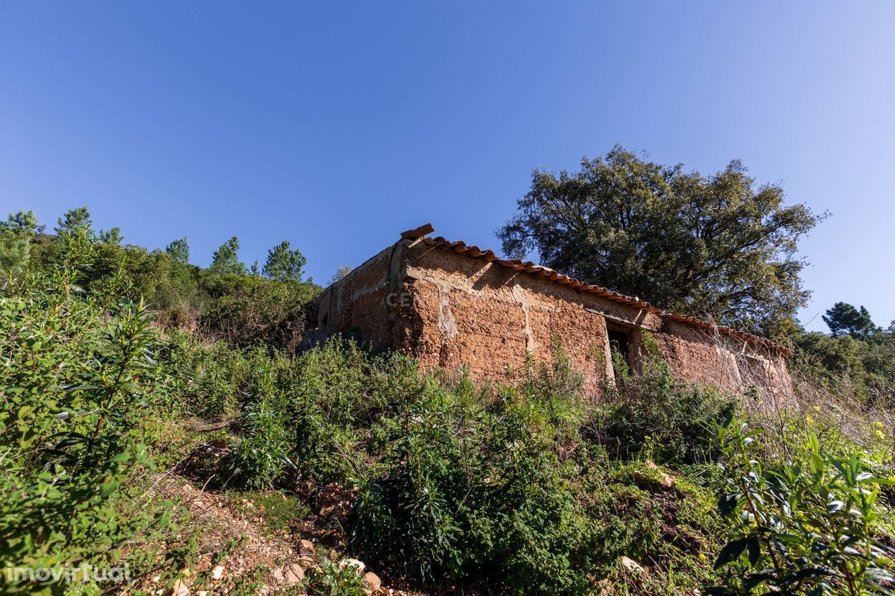 Terreno rústico verdadeiramente especial na deslumbrante encosta norte