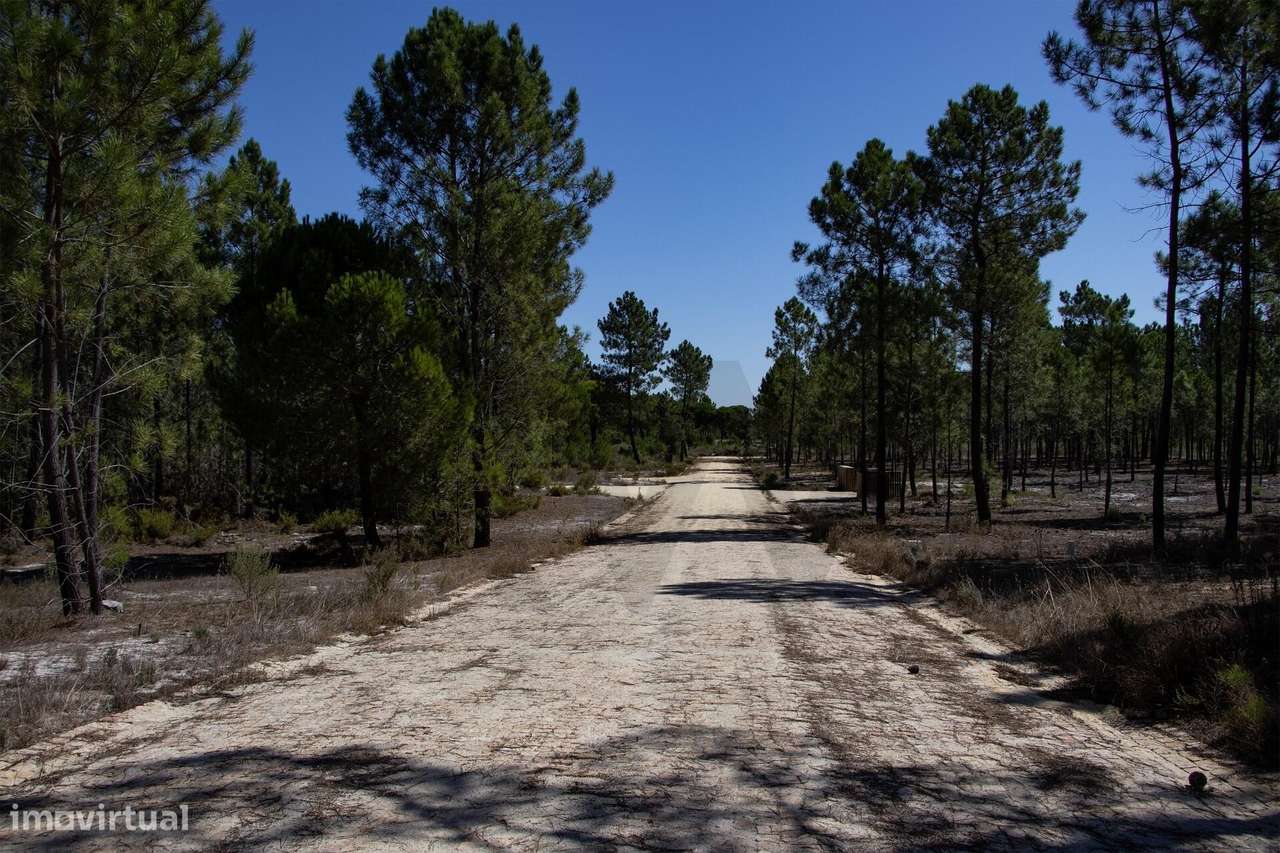 Quinta na Muda, Comporta — 48.540 m2 | Projecto aprovado | Arquitecto - Grande imagem: 3/27