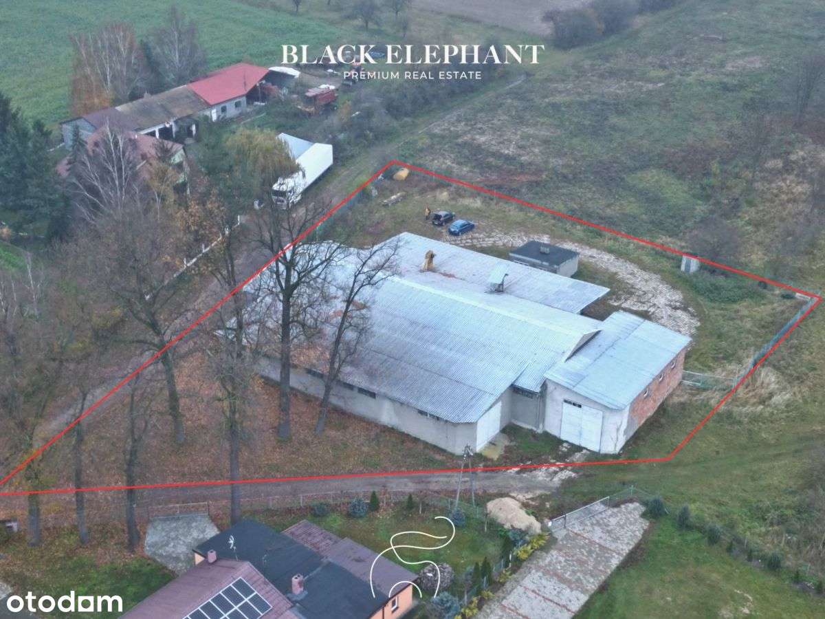 Hala magazynowo-produkcyjna z zapleczem biurowym - Pełny obrazek: 4/8