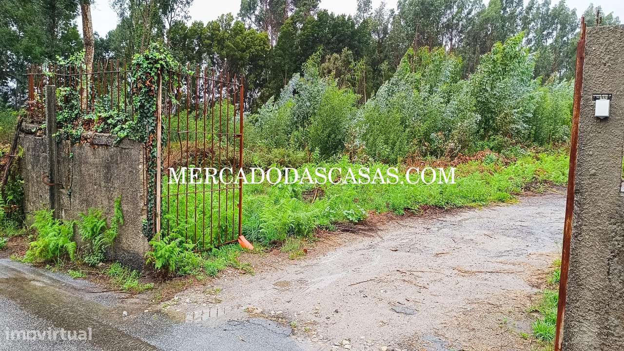Terreno em Nogueira da Regedoura - Grande imagem: 4/6