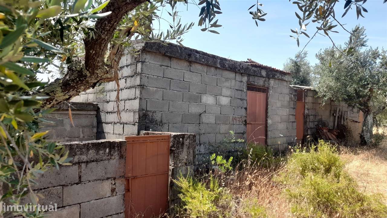 Terreno Rústico  Venda em Escalos de Cima e Lousa,Castelo Branco-13