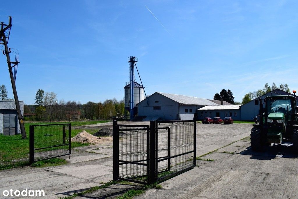 Dochodowa tłocznia oleju, hale, magazyny, 3,3 Ha