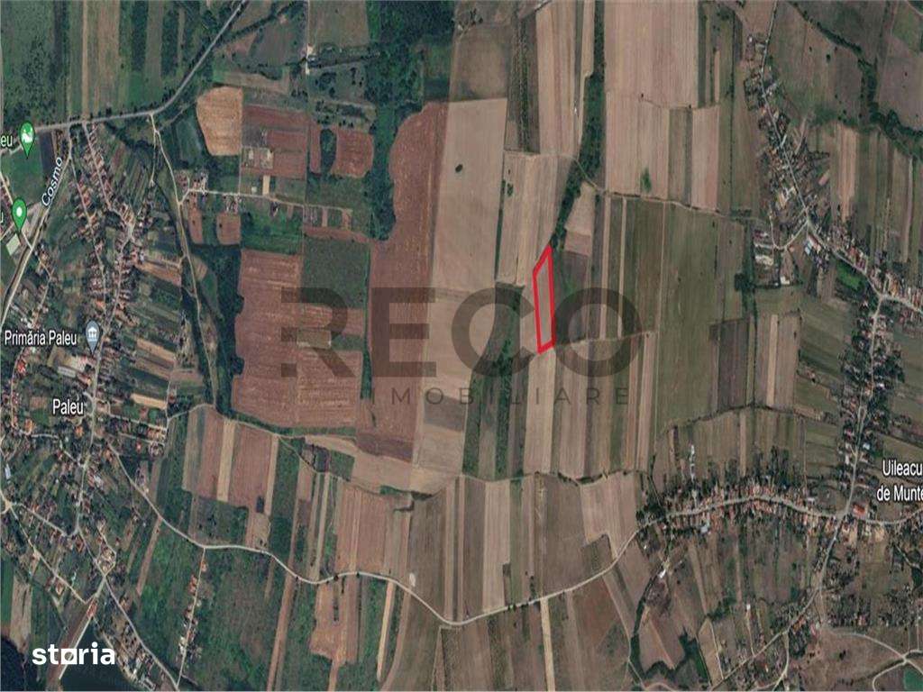 Teren mare extravilan in Uileacu de Munte - Imagine principală: 5/5