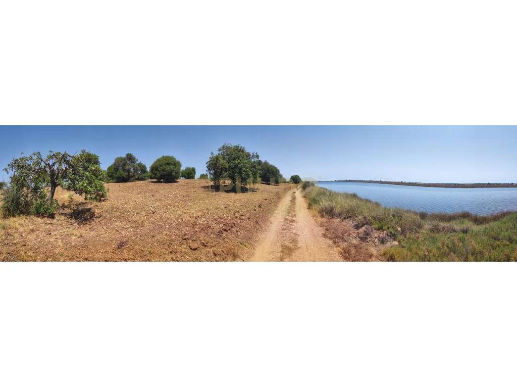 Quinta em Castro Marim a 5km da praia-30