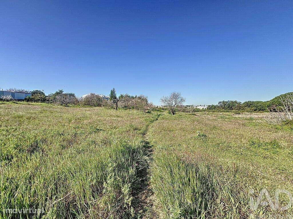 Terreno para construção em Montenegro de 672,00 m2 - Grande imagem: 3/16