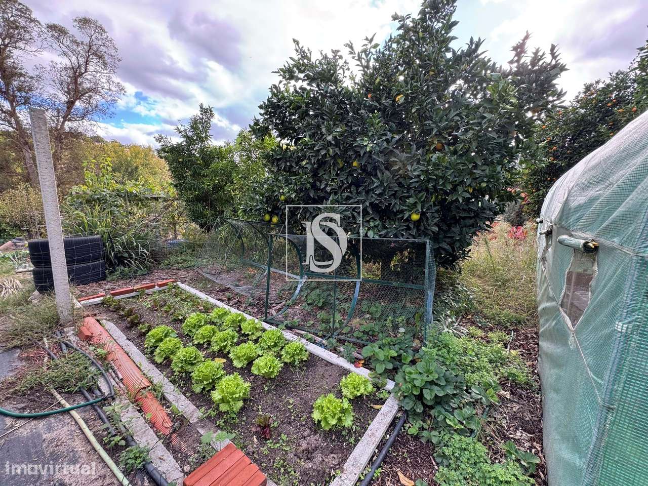 Quintinha em Tramaga-24