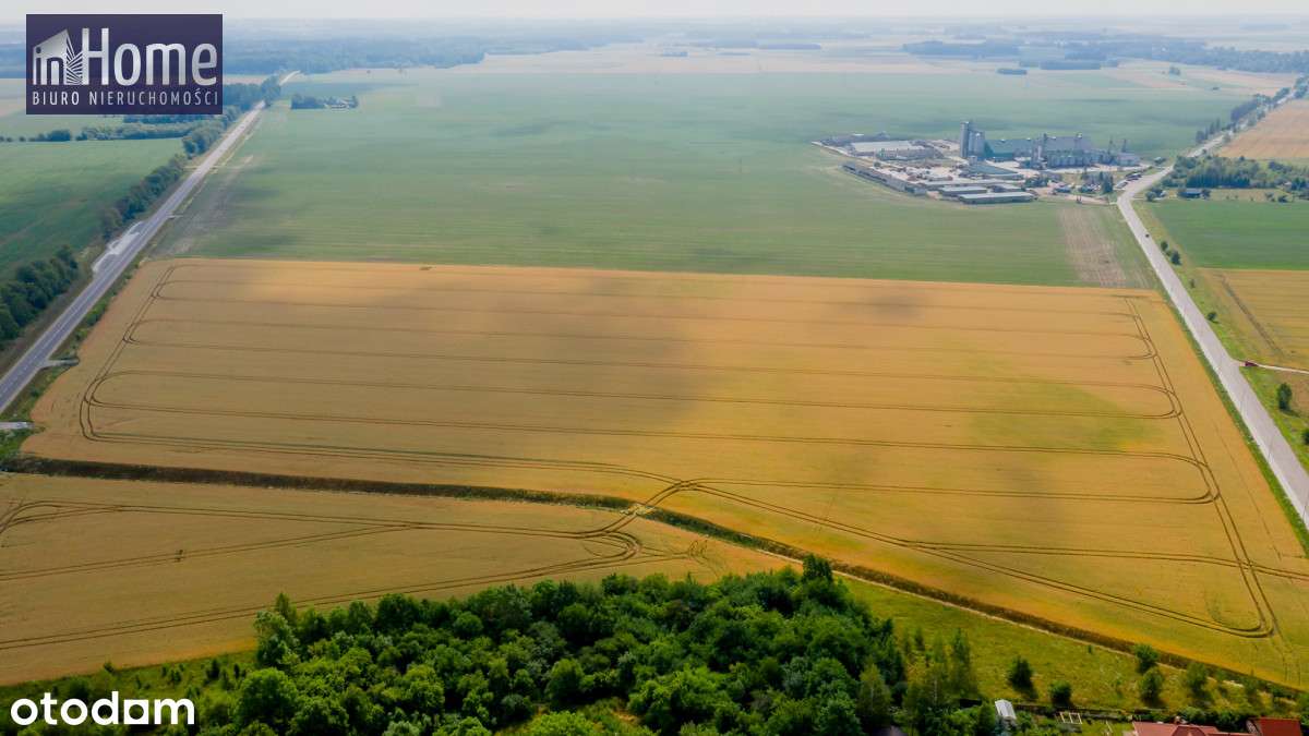 Działka inwestycyjna Bielsk Podlaski - 71500 m2! - Pełny obrazek: 5/12