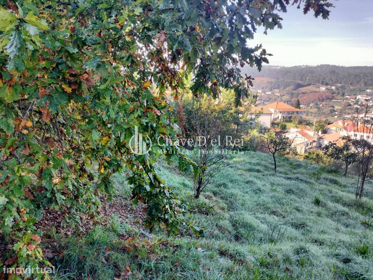 Lote de Terreno  Venda em Orgens,Viseu - Grande imagem: 3/15