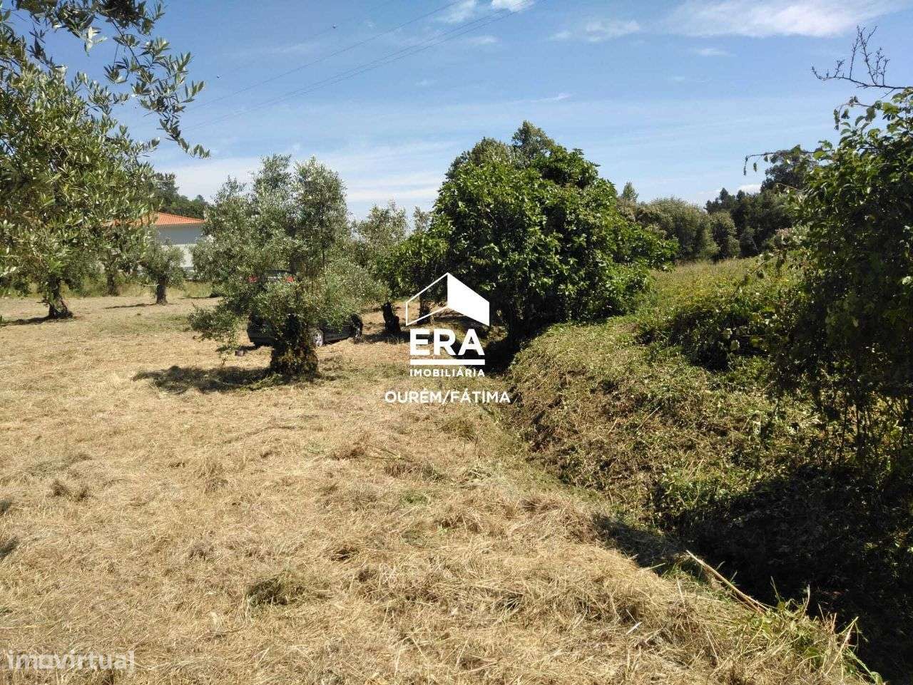 Terreno para Construção perto de Ourém - Grande imagem: 4/9