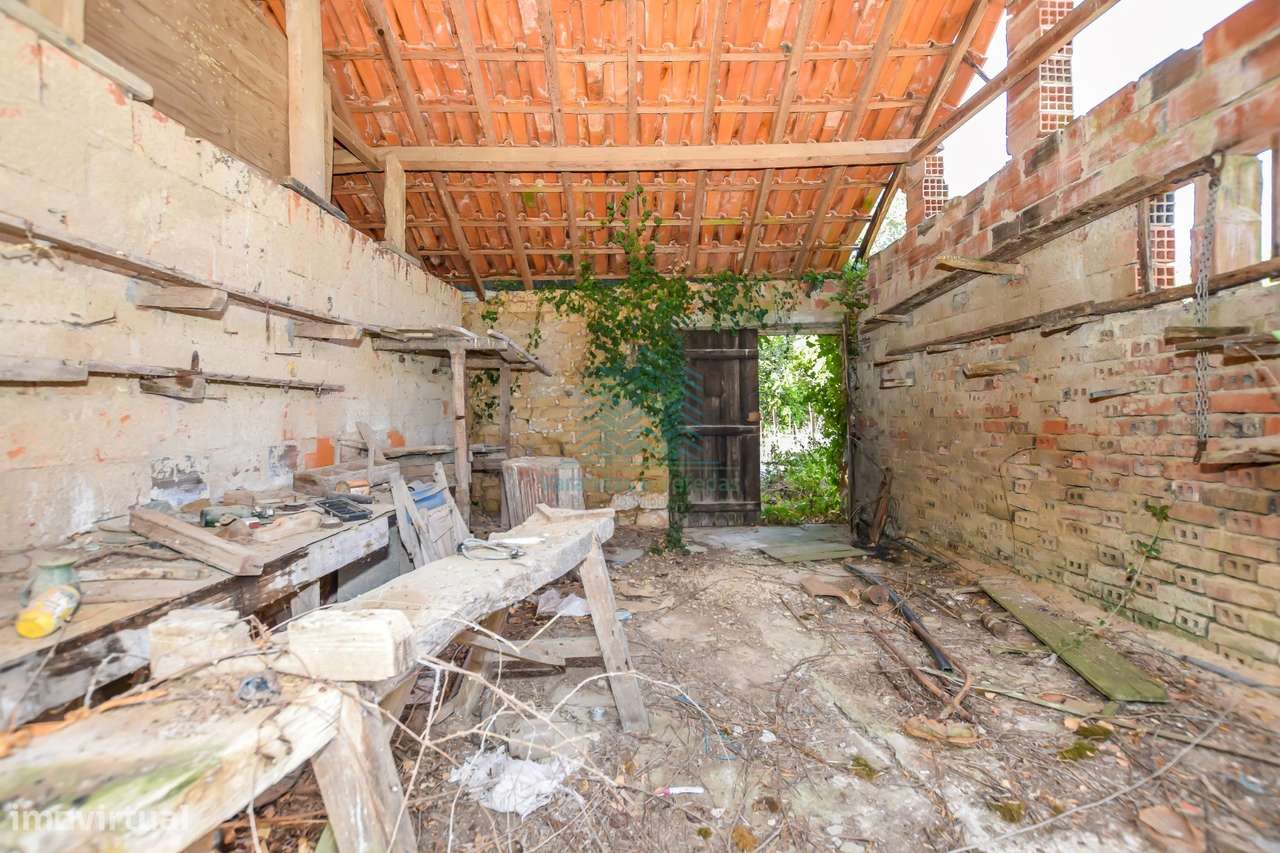 Quinta para remodelar - Torres Novas-14