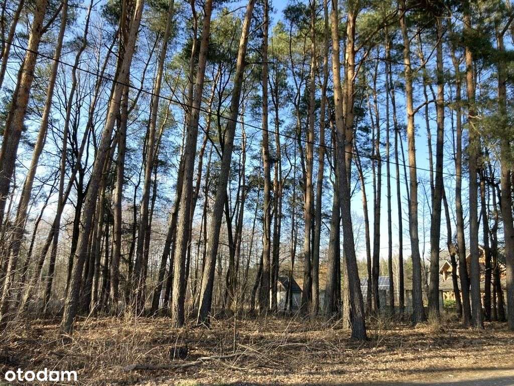 Pęclin, gm. Wiązowna, 3500 m2-2