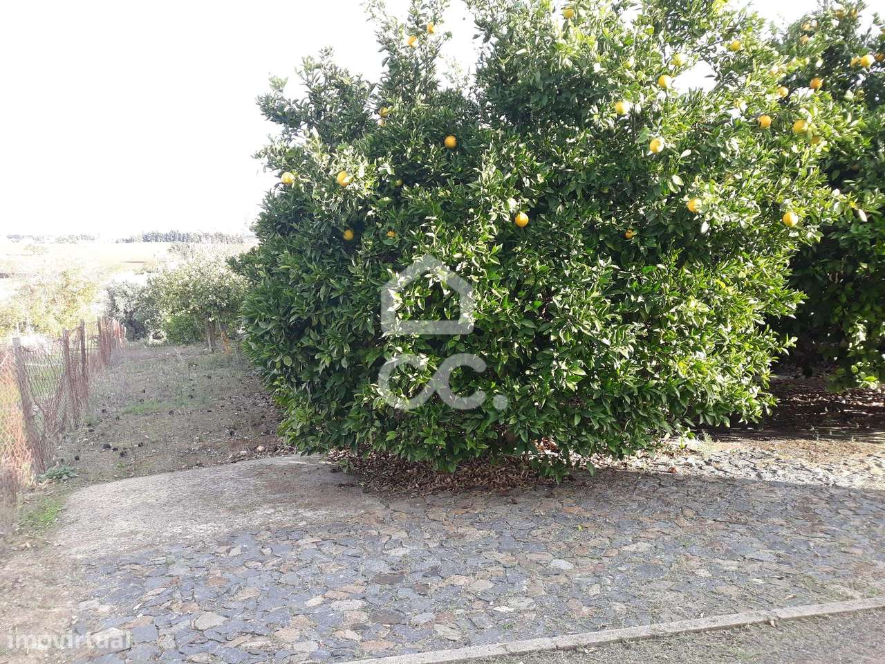 Quinta  em Beringel-30