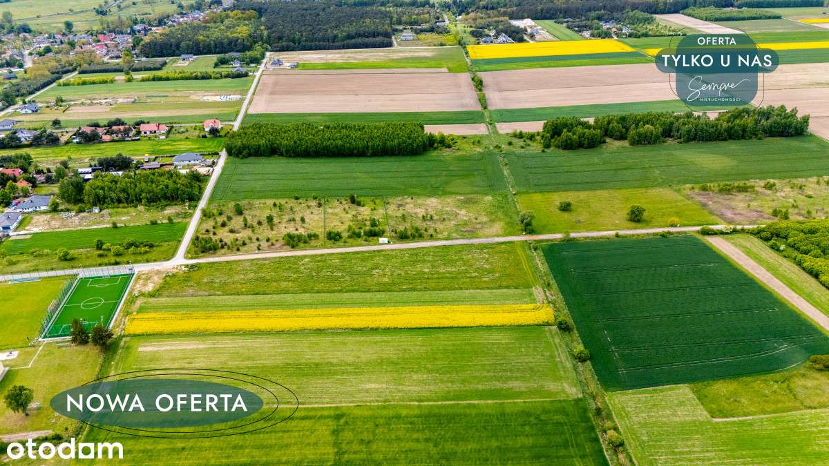 Działka 3000mk Kazimierz blisko szkoły - Pełny obrazek: 5/13