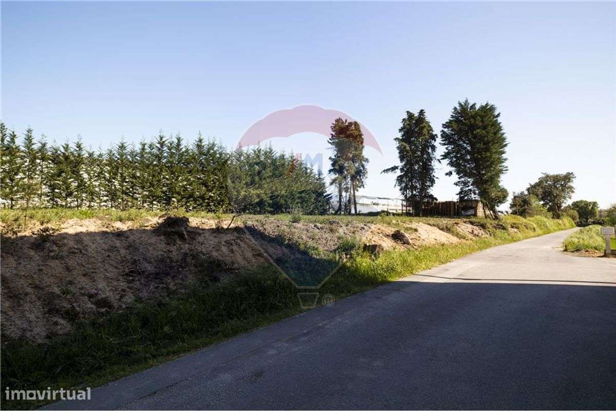 Industrial T0 para venda - Grande imagem: 2/11