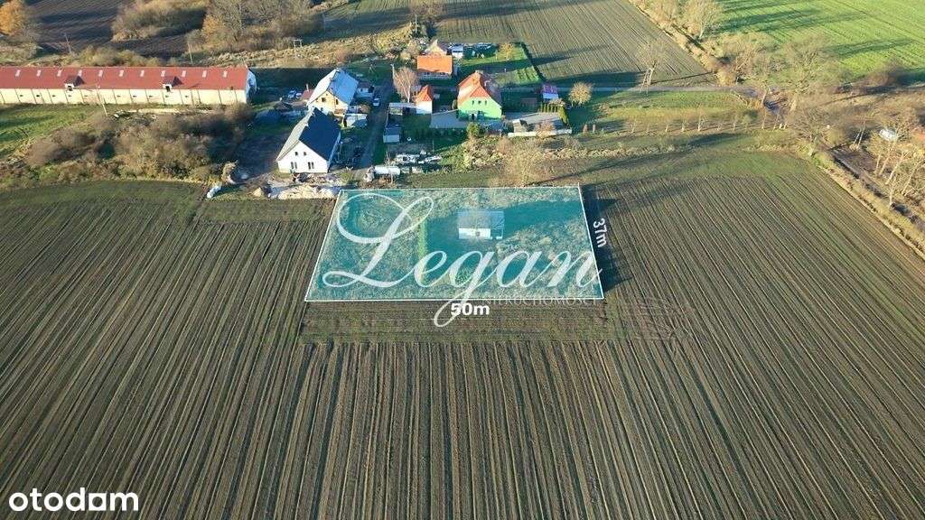 Działka z Warunkami Zabudowy - 22 ar - Warcin - Pełny obrazek: 4/6