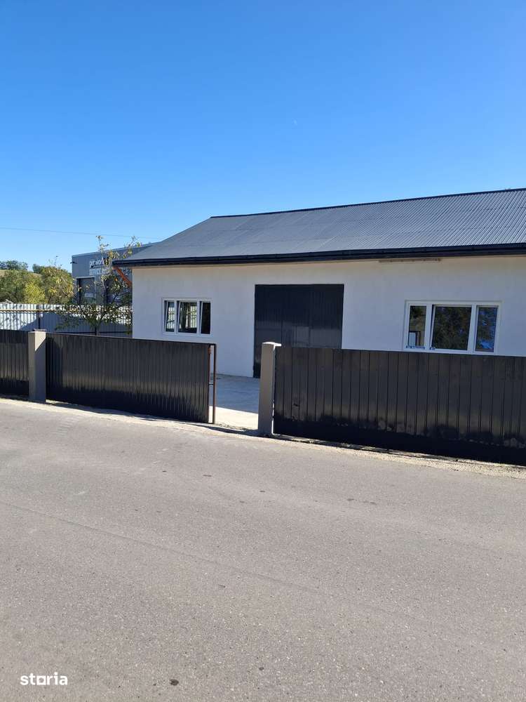 Hală 200 mp cu teren Curtesti-4