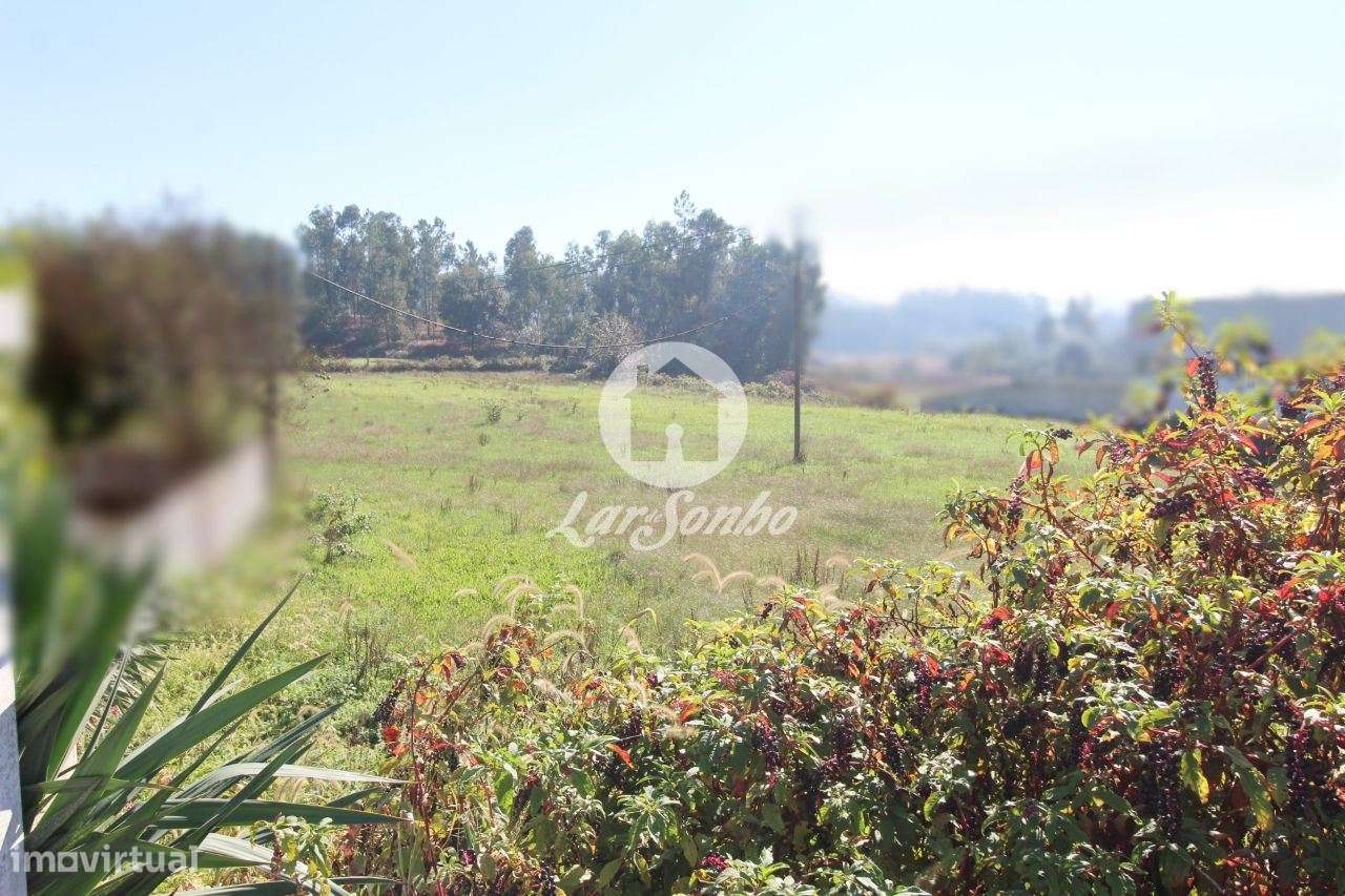 Terreno plano com 6500m2 - Grande imagem: 3/27